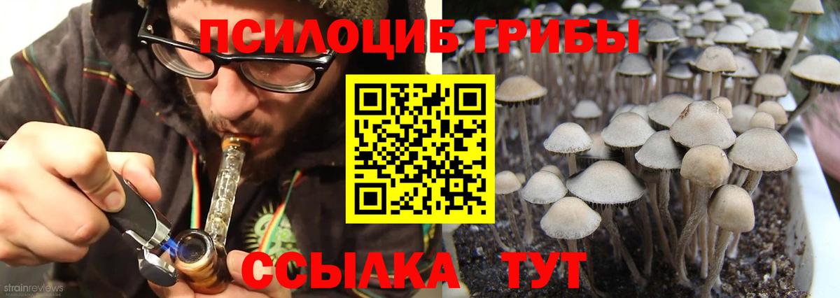 Галлюциногенные грибы Magic Shrooms Алушта